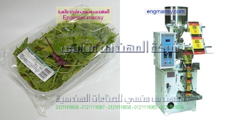 تعبئة وتغليف المواد الغذائية